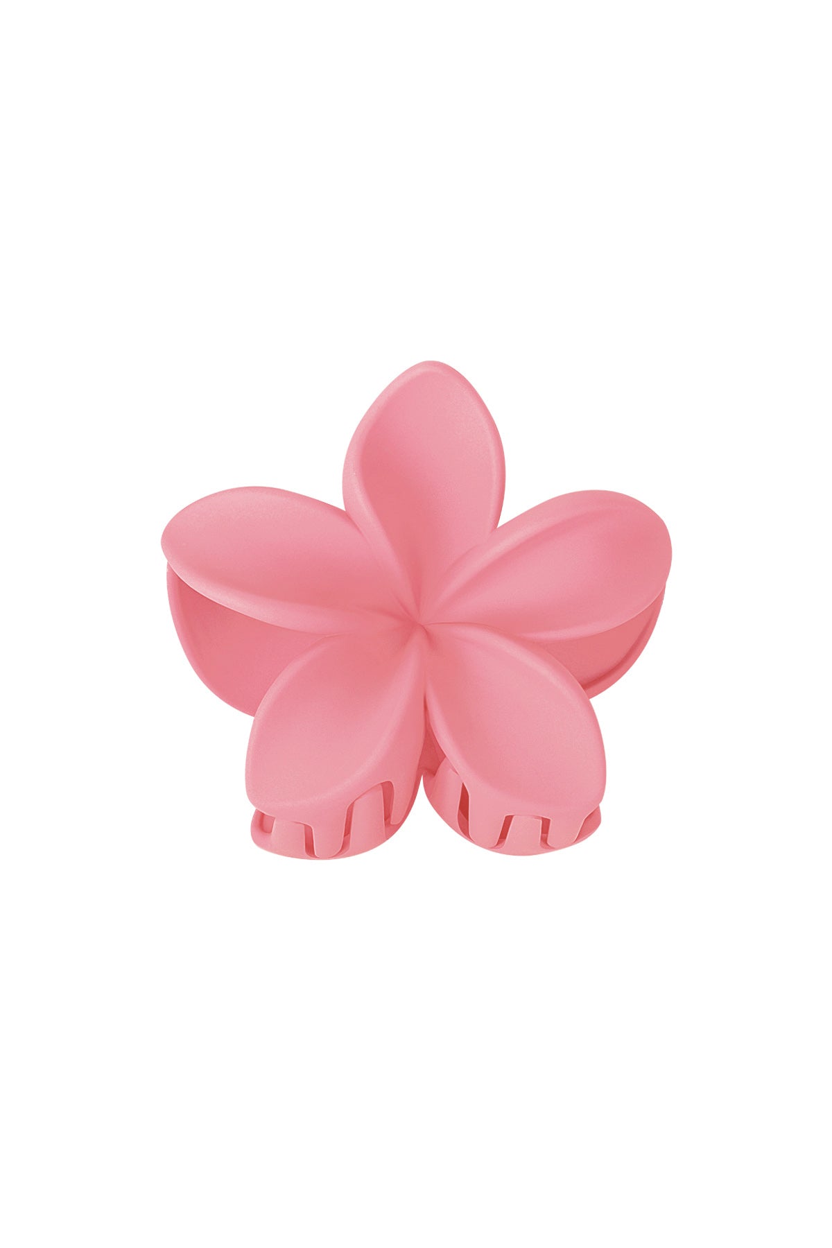 RIVA - HAIR CLIP